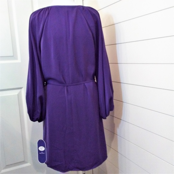 Diane Gilman Tunic Style Dress Purple Size M NWT - Picture 6 of 8
